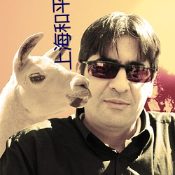 乐虎国际·lehu(中国)官方网站登录