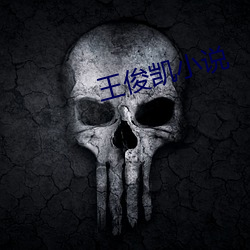 王俊凯小说