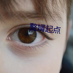 贅婿起點