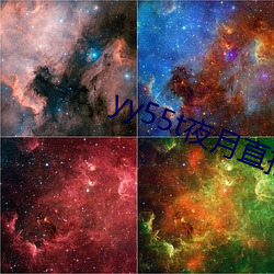 yy55t夜(yè)月直(zhí)播app