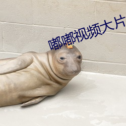 嘟嘟视频大(dà)片