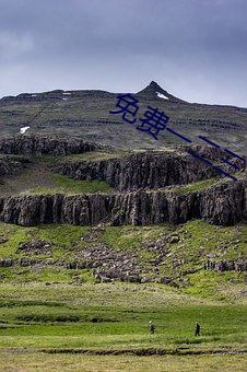 免费(fèi)一(yī)二三