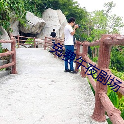 免(免)费午(午)夜剧场