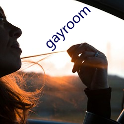 gayroom