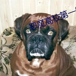 恶魔高校第一季