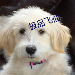极品飞(fēi)仙(xiān)