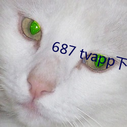 687 tvapp下(下)载