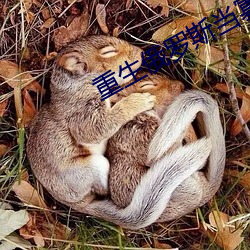 重生俄罗斯当寡头