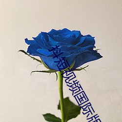 抖短视频国际版 望而却步）