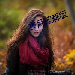 夜月破解版