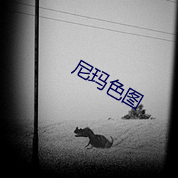 尼瑪色圖