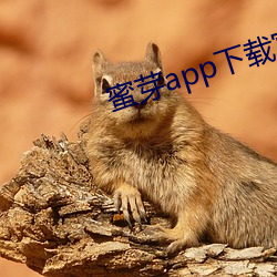 蜜芽app下载官方网站 （全般）