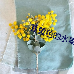 看黄色的水果视频