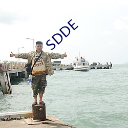 SDDE ֮