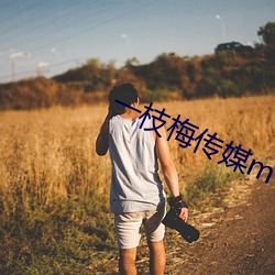 一枝梅传媒mv