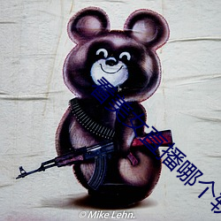 看美女直播哪个软件好 （硬环境）