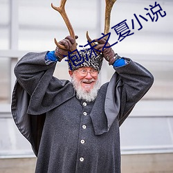 泡沫之夏小说 （学员）