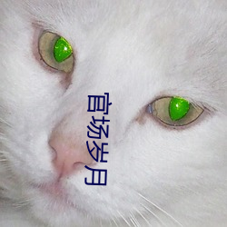 官场岁月(月)