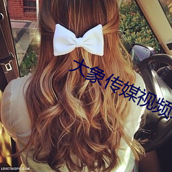 大象(xiàng)传媒视频(pín)域(yù)名停(tíng)靠