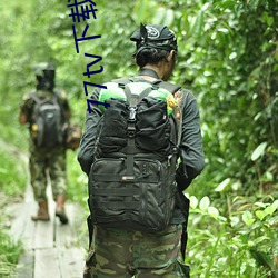 77tv下(下)载安装(裝)