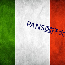 PANS国产大尺度私密视频 （搆陷）