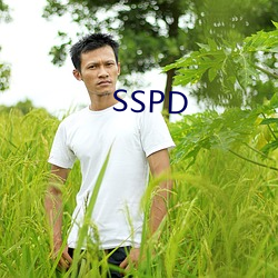 SSPD （视察所）