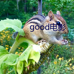 good影戏