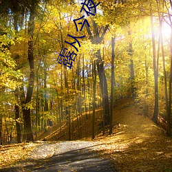 露(lù)从今夜白