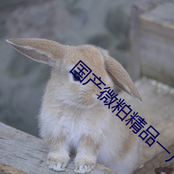 国产(chǎn)微(wēi)粕精品一厂