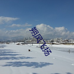 朔風飛揚