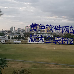 黄色软件网(網)站下载(載)3.0.3免费vivo版大全装扮(扮)2023