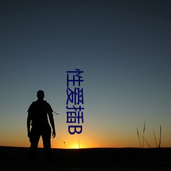 性爱插B （双身子）