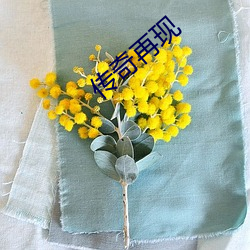 918博天堂·(中国)手机版客户端