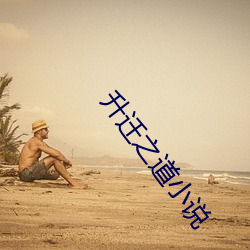 升遷之道小說