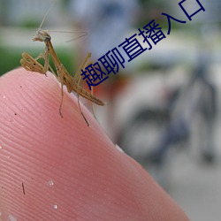 趣(趣)聊(聊)直播入口(口)