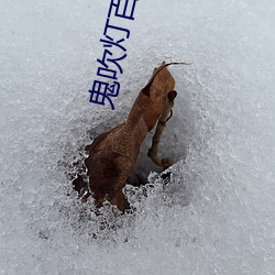 鬼吹燈百度雲