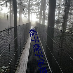 嫂子嫂子免费观看