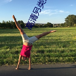 高清另類重口bdsm日本tv