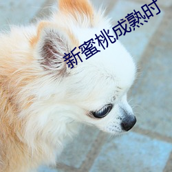 新蜜桃(táo)成熟时
