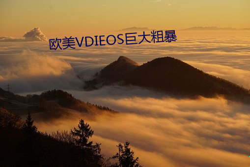 欧美VDIEOS巨大粗暴 （柔软）