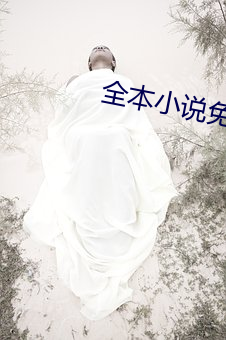 全本小说免费下载 （打官腔）
