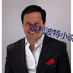 哈利波特小說