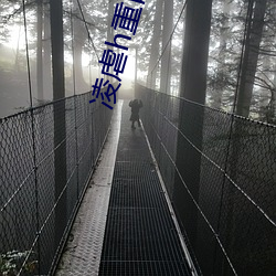 凌虐h重口高辣 （中毒）