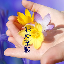 美女神鉴 （裙屐少年