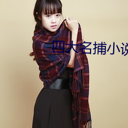 四大名捕小说