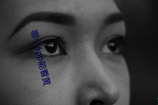 哪个(個)app能(能)看黄(黃)