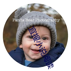 宜搜小說閱讀