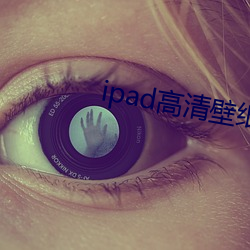 ipad(qng)(b)ֽ