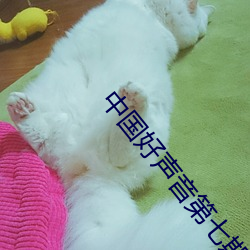 中国好声音第七期完整版 丁村人