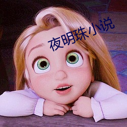 夜明珠小說